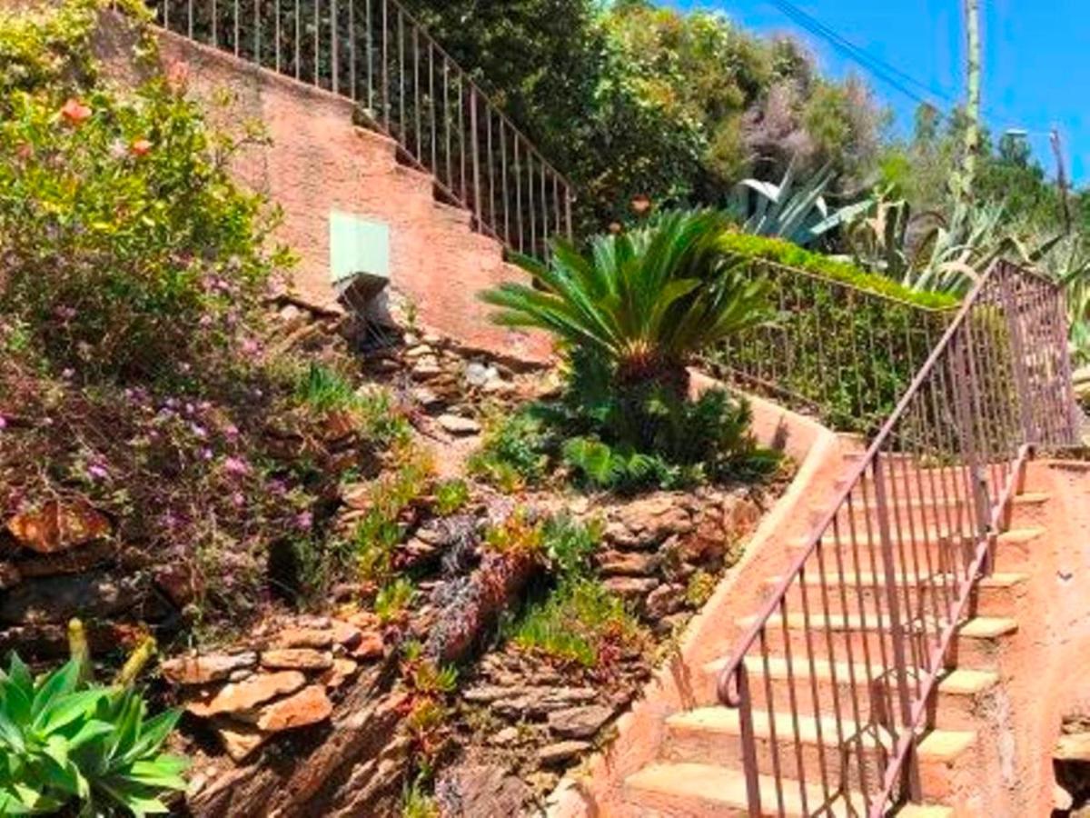 Villa les Alizés Le Le Rayol-Canadel-sur-Mer Kültér fotó
