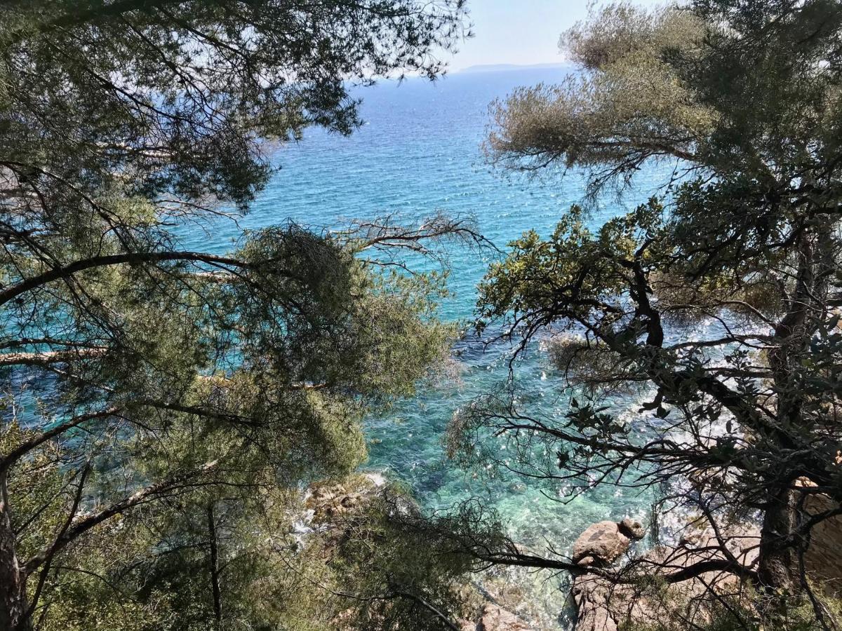 Villa les Alizés Le Le Rayol-Canadel-sur-Mer Kültér fotó
