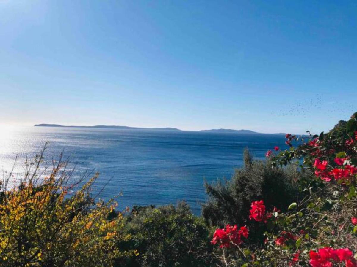 Villa les Alizés Le Le Rayol-Canadel-sur-Mer Kültér fotó