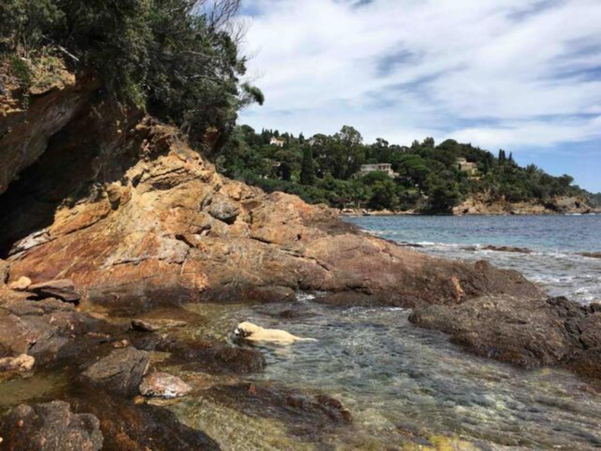 Villa les Alizés Le Le Rayol-Canadel-sur-Mer Kültér fotó