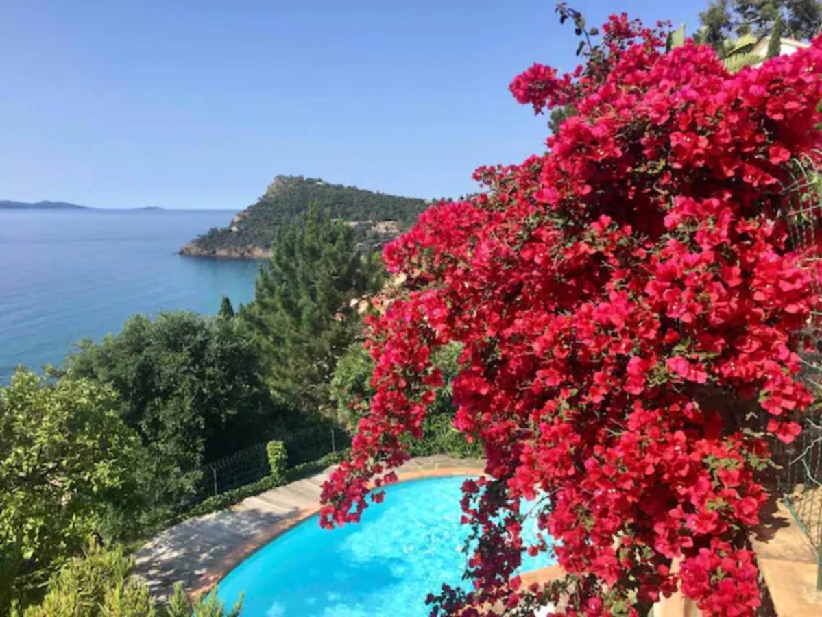 Villa les Alizés Le Le Rayol-Canadel-sur-Mer Kültér fotó