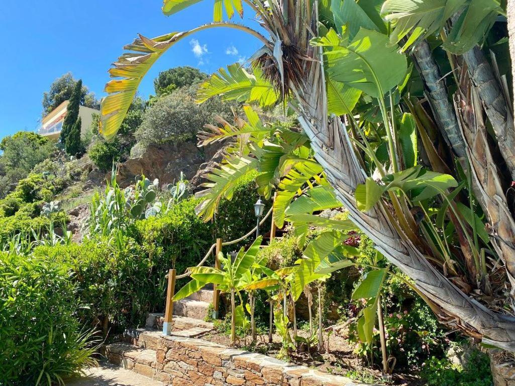 Villa les Alizés Le Le Rayol-Canadel-sur-Mer Kültér fotó