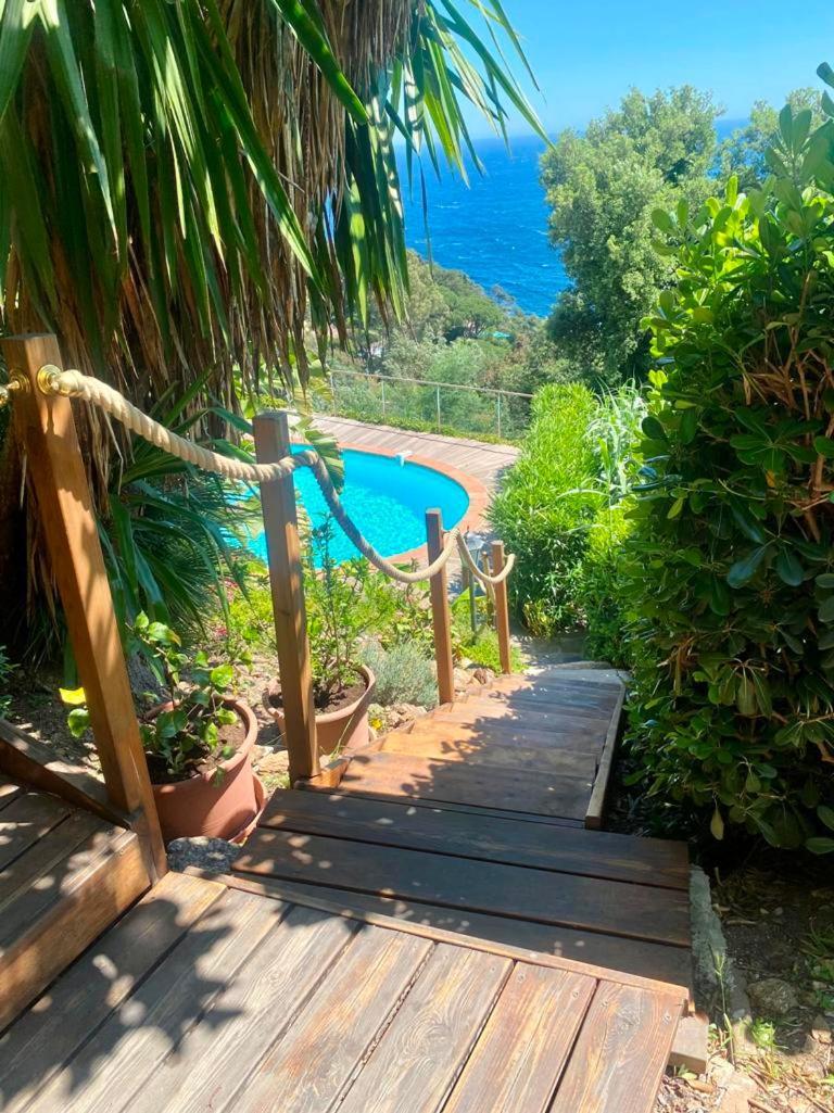 Villa les Alizés Le Le Rayol-Canadel-sur-Mer Kültér fotó