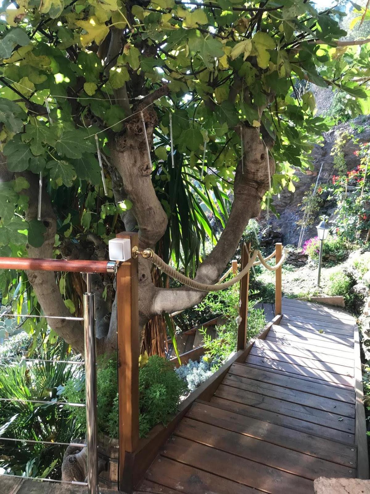 Villa les Alizés Le Le Rayol-Canadel-sur-Mer Kültér fotó